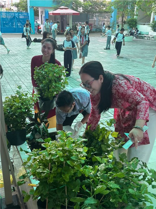 Triển khai phong trào xây dựng công trình “Thành phố muôn sắc hoa” giai đoạn 2025 – 2030