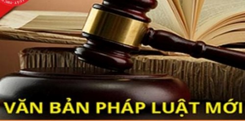 Các luật, chính sách mới có hiệu lực từ 01/01/2025