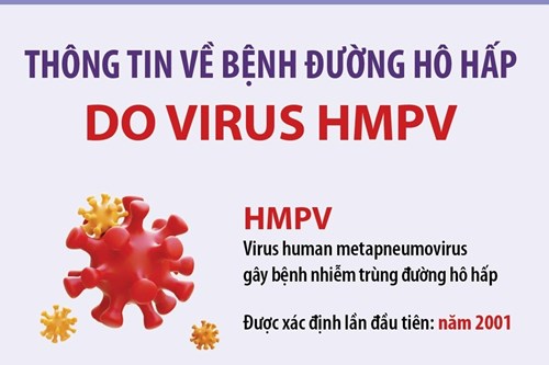 Thông tin về bệnh đường hô hấp do virus hmpv