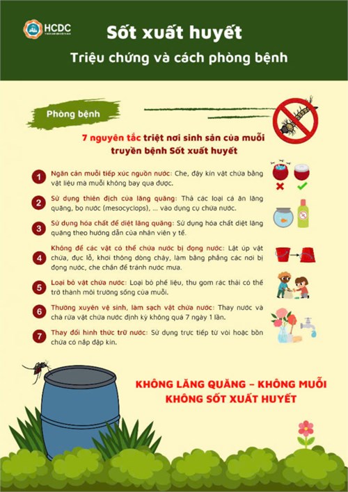 Sốt xuất huyết - Triệu chứng và cách phòng bệnh.