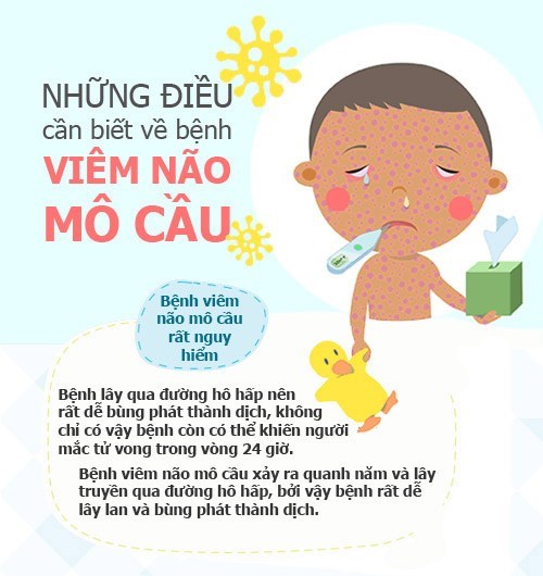 Truyền thông viêm não mô cầu