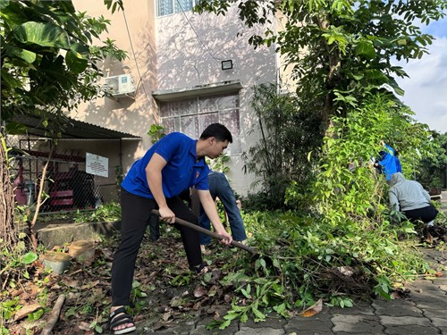 Chi Đoàn Trường THCS Rạng Đông Hưởng Ứng Ngày  Chủ Nhật Xanh  Tháng 11 - 2025