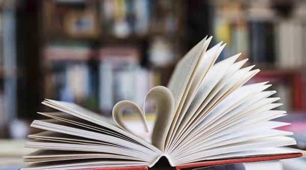 🌻🌻hoạt động chào mừng ngày nhà giáo việt nam 20/11 🌻🌻