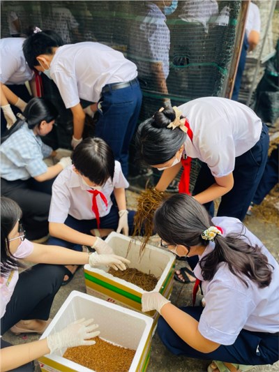 Tổ chức buổi Hướng Nghiệp cho các em học sinh khối 6, 7, 8, 9 tại trường cùng với các buổi trải nghiệm tại các trường trung cấp Bách Nghệ Thành phố Hồ Chí Minh, THPT Võ Trường Toản, Cao đẳng Kinh tế và du lịch Sài Gòn….Nuôi trồng Nấm, rau xanh, sản xuất kẹo dừa.