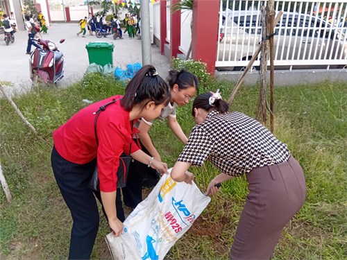 Xây Dựng Vườn Thuốc Nam Tại Trường THCS Tô Ngọc Vân