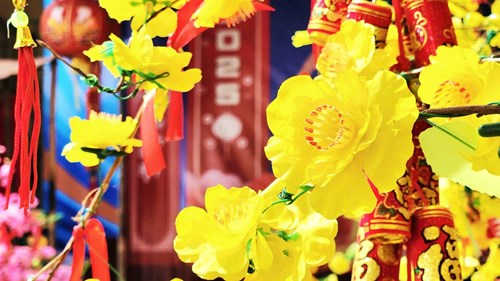 Hội thi trang trí cây mai, đào vui Tết Ất Tỵ 2025