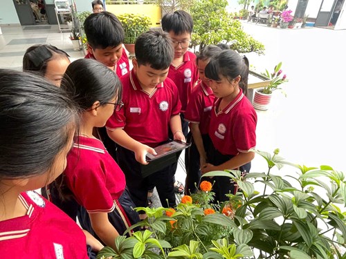 Tổ khoa học tự nhiên tổ chức bài học thực hành “tìm hiểu sinh vật ngoài thiên nhiên”