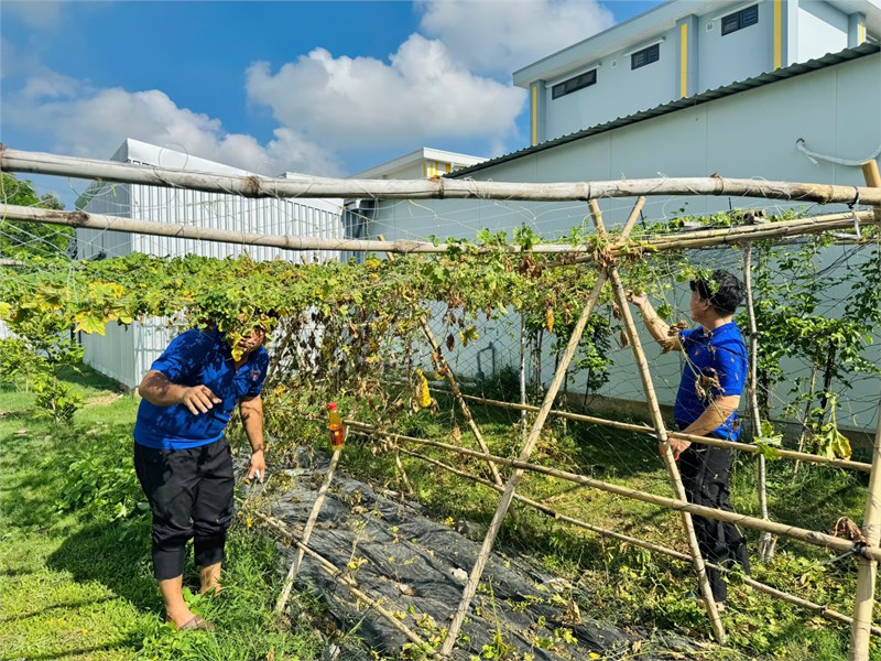 Chi đoàn ra quân ngày chủ nhật xanh hưởng ứng tháng thanh niên năm 2026