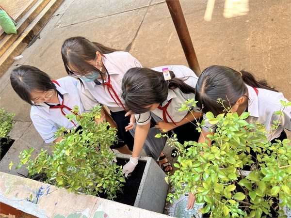 🌿♻️ LAN TỎA TRÀO LƯU “SỐNG XANH” – HÀNH ĐỘNG NHỎ, Ý NGHĨA LỚN ♻️🌿
Chuỗi hoạt động chào mừng kỷ niệm
🌸 85 năm Ngày thành lập Đội Thiếu niên Tiền phong Hồ Chí Minh 🌸
(15/5/1941 – 15/5/2026)