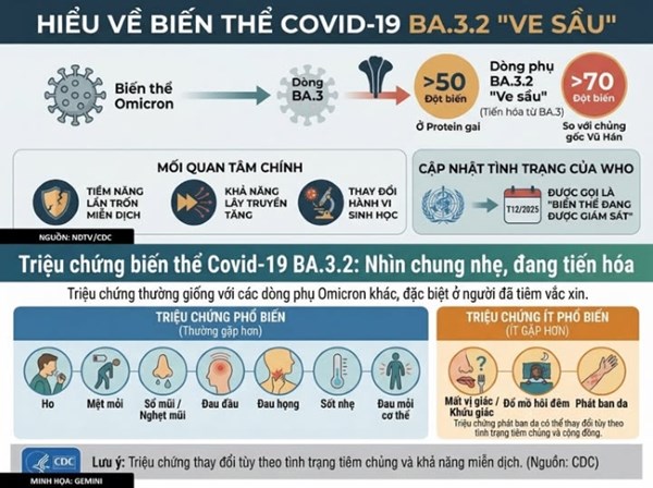 Bộ Y tế thông tin về biến thể SARS-CoV-2 BA.3.2