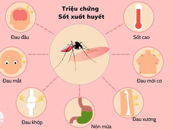 Dấu hiệu sốt xuất huyết nặng