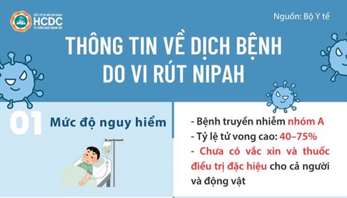 Thông tin về dịch bệnh do vi rút Nipah