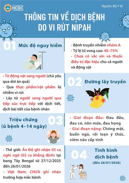 Thông tin về dịch bệnh do vi rút nipah và khuyến cáo phòng chống tại việt nam