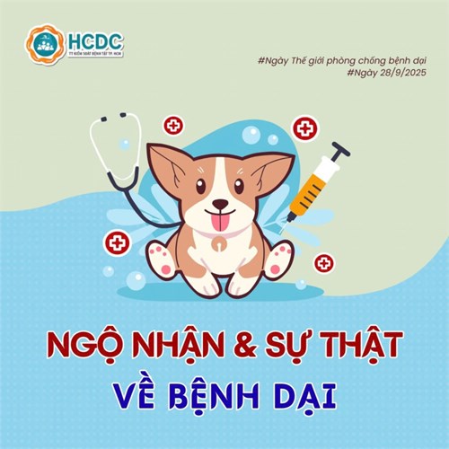 Infographic: Ngộ nhận và sự thật về bệnh dại