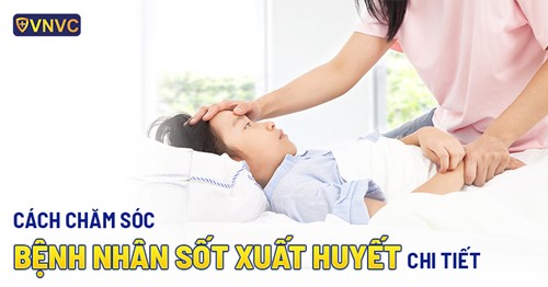 Theo dõi và chăm sóc người bệnh sốt xuất huyết tại nhà