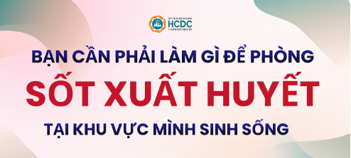 Bạn cần phải làm gì để phòng Sốt xuất huyết tại khu vực mình sinh sống