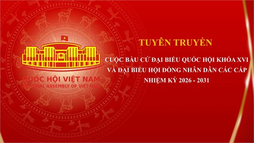Bầu cử đại biểu quốc hội và đại biểu hđnd các cấp