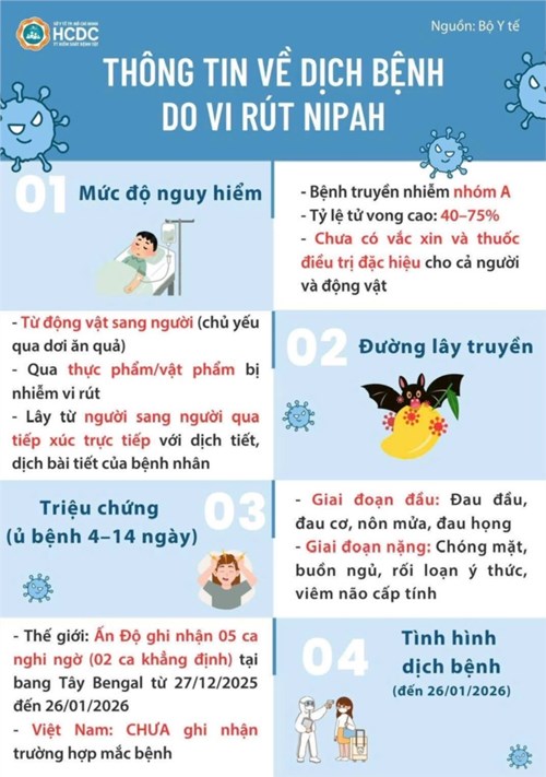 Thông tin về dịch bệnh do Vi rút Nipah