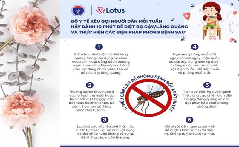 Truyền thông y tế  Tăng cường phòng chống dịch bệnh Sốt xuất huyết trong giai đoạn giao mùa 