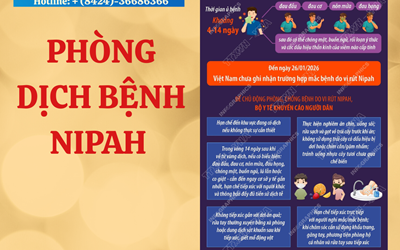 Thông tin tuyên truyền phòng chống dịch bệnh do vi - rut Nipah