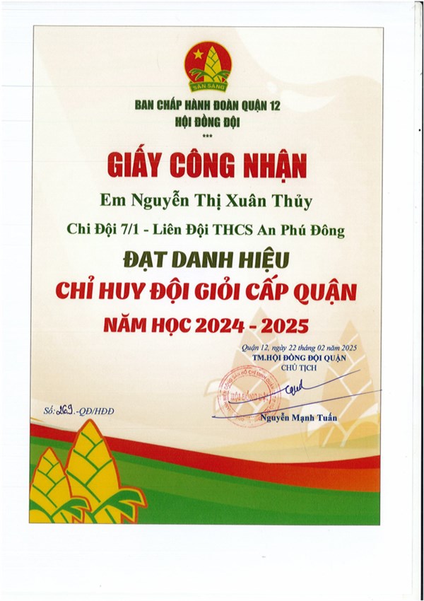 Chỉ huy Đội giỏi cấp Quận năm học 2024-2025